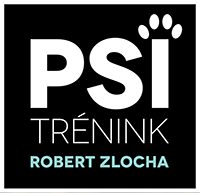 MRAVENCI - TOP HRA NA PŘIVOLÁNÍ PSA | PsiTrenink.cz