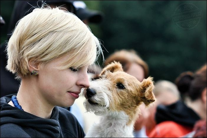 Eva Kostka - trenérka v justdog.cz